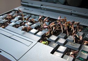 Blooming Computer