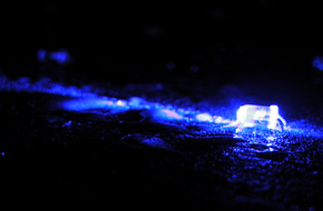 Water Lights